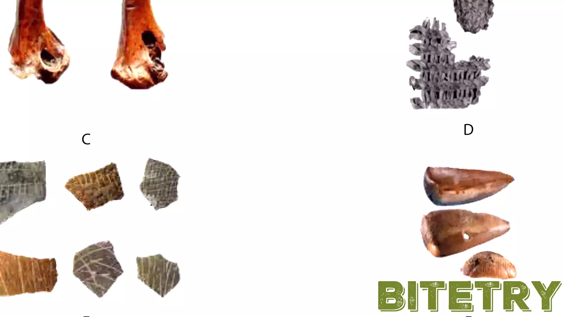 A history of containers, an ancient technology hundreds of thousands of years in the making