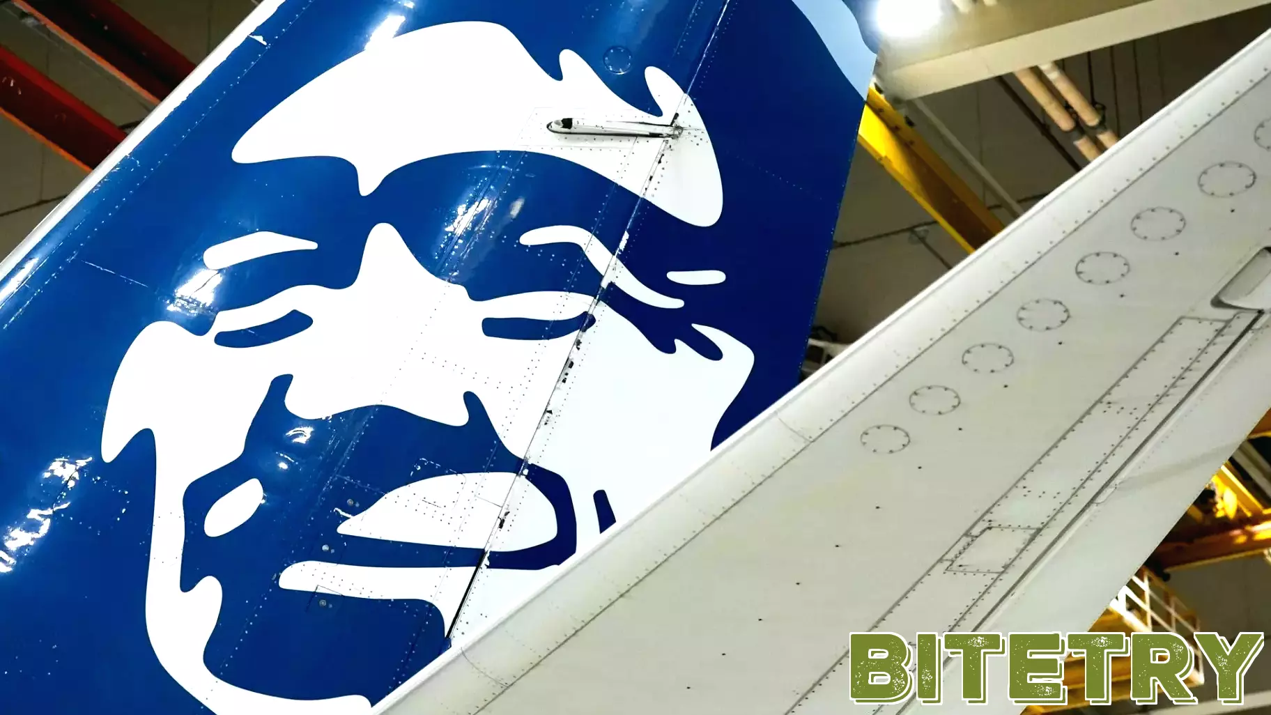 Alaska Airlines Grounds Flights Due to IT Outage