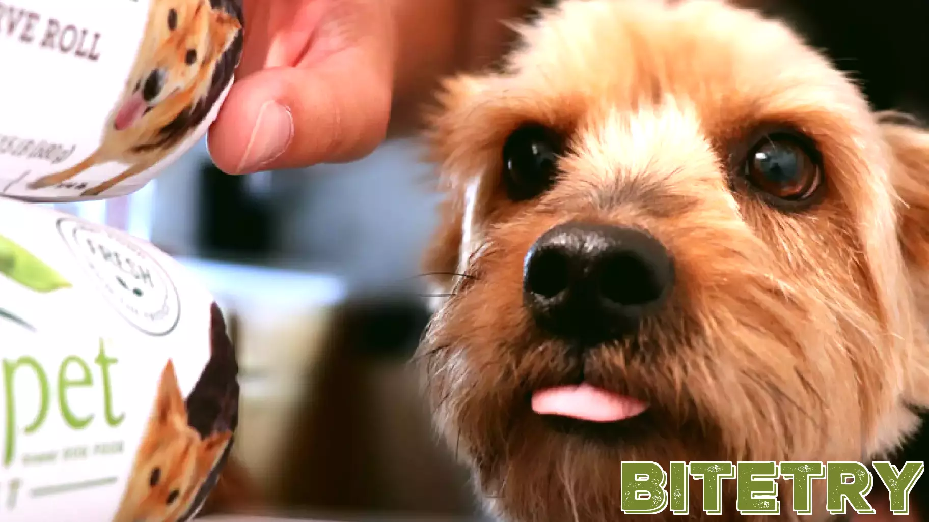 Align Technology Shareholder Meeting Rights May Influence Future Board Decisions