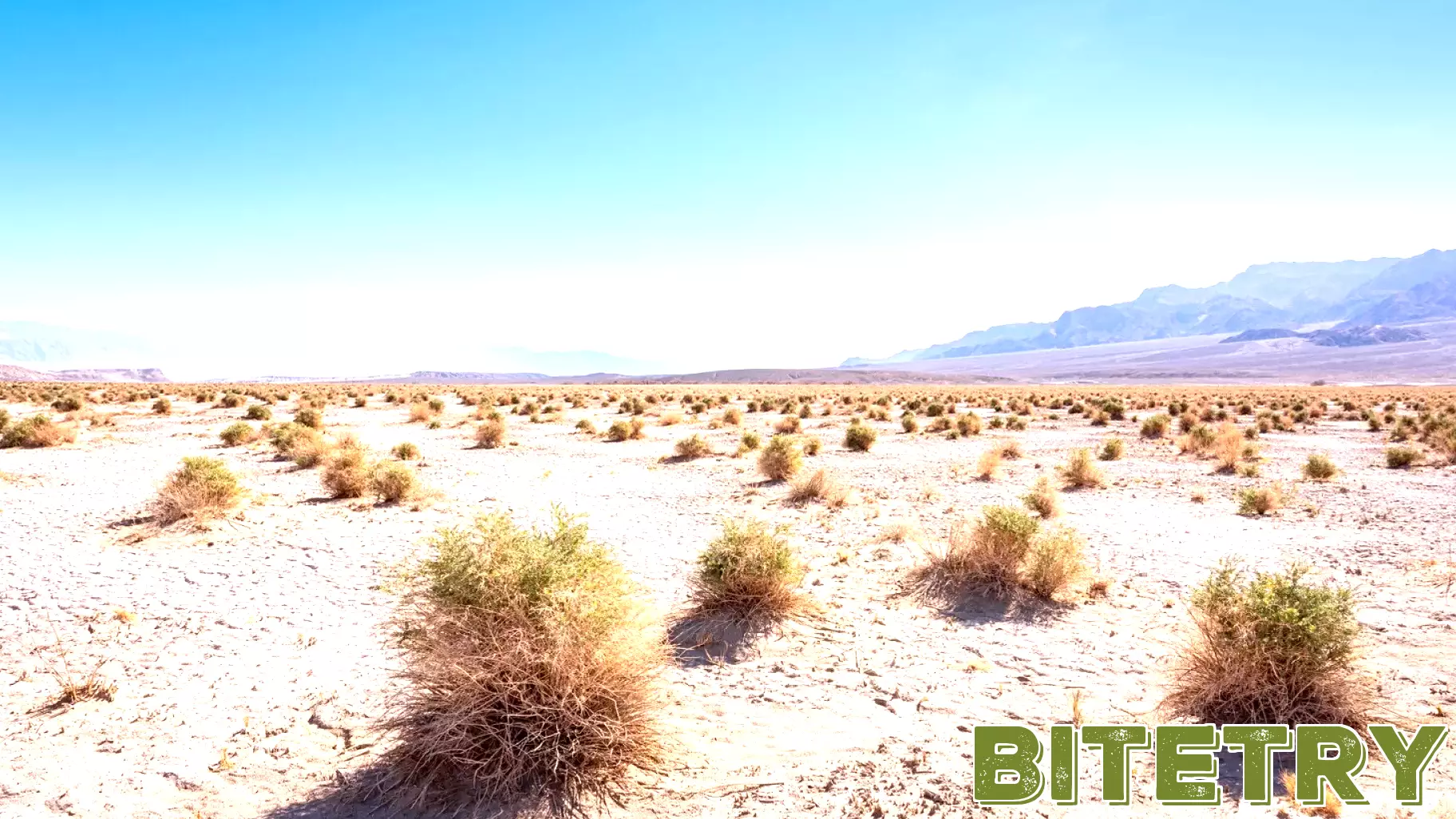 American Battery Technology: Another Good Quarter Under The Belt