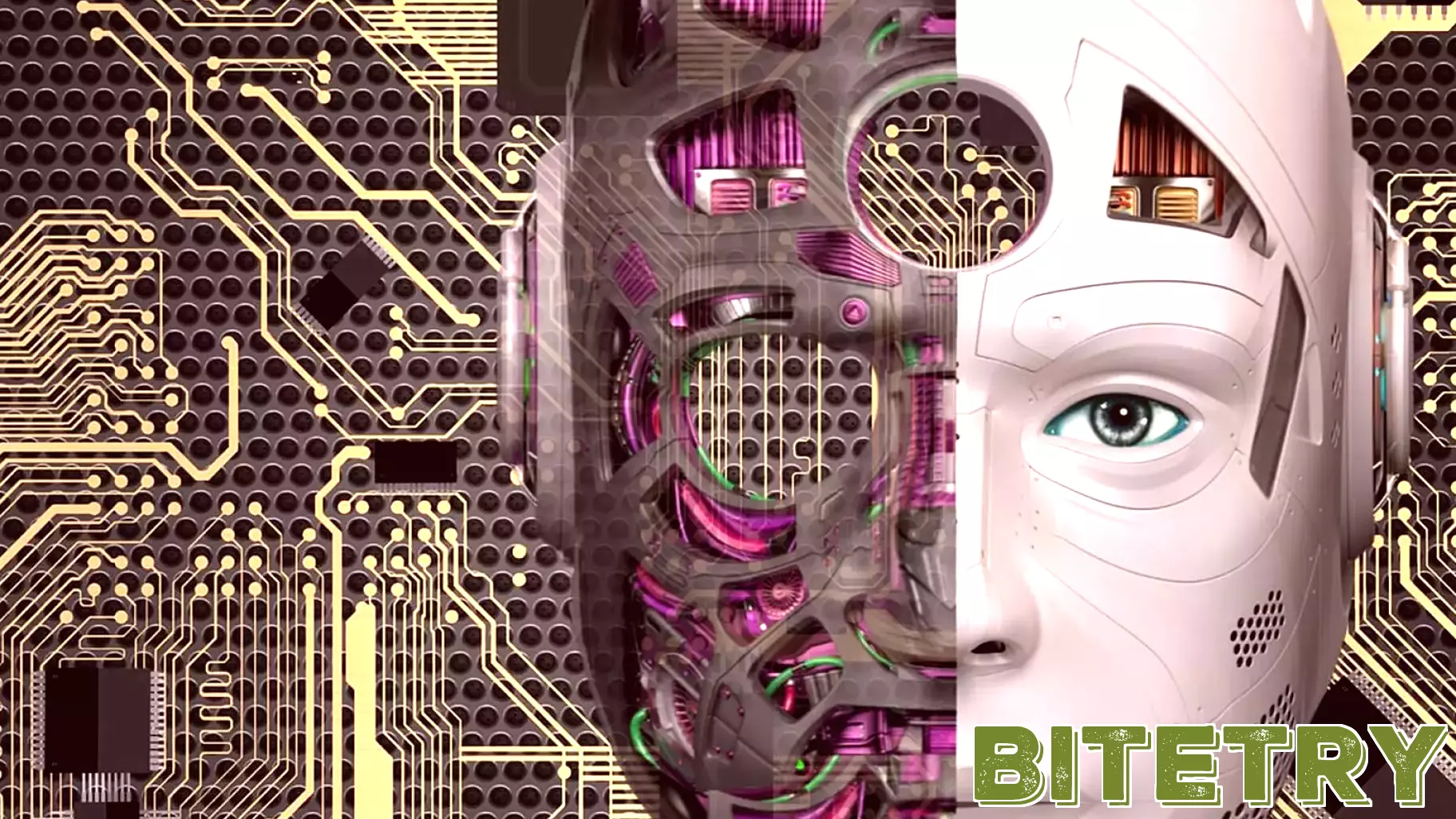 Bibimble Accelerates AI Development and Global Reach Following NVIDIA Inception Membership