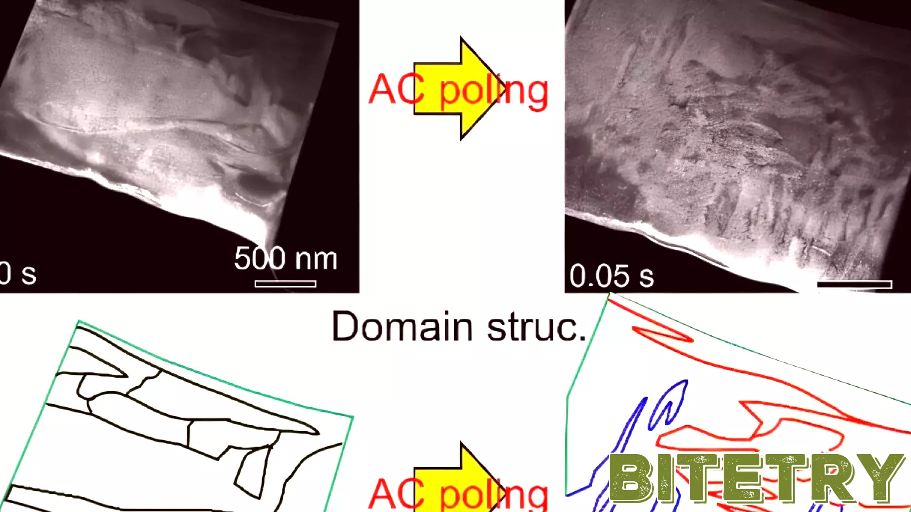 Breakthrough in Ultrasound Imaging: Real-Time Visualization of Nanoscale Domain Response