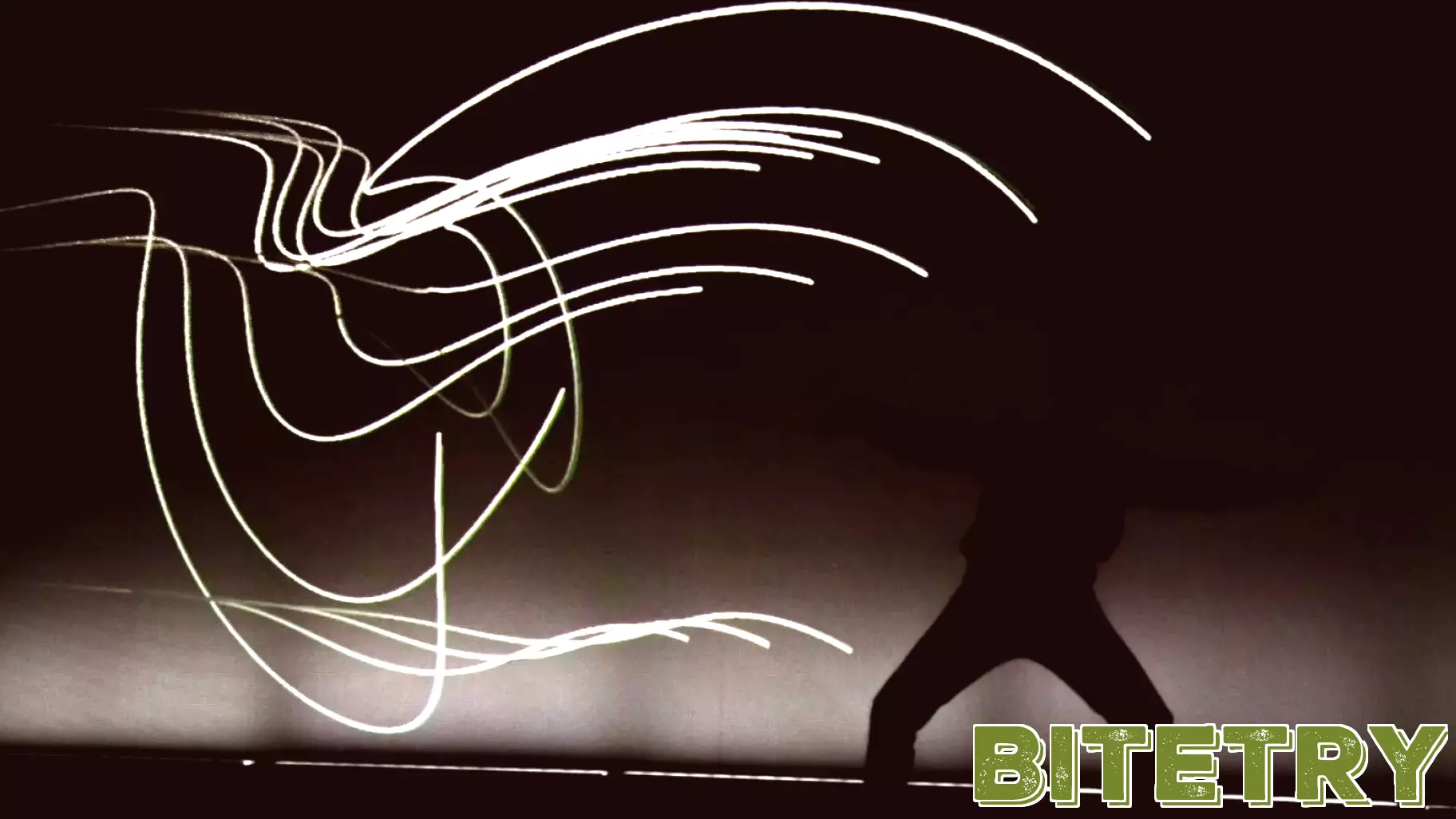 Experience the World of Bats at CURRENTS Art and Technology Festival