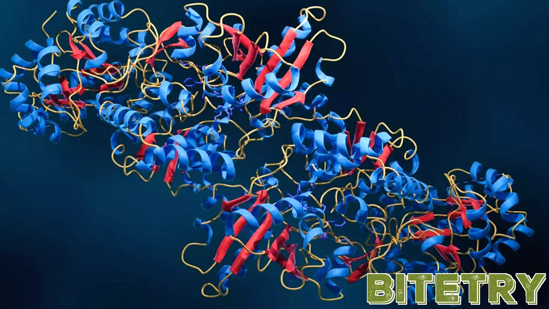Factors to Consider When Bringing Cryo-EM Technology into the Lab