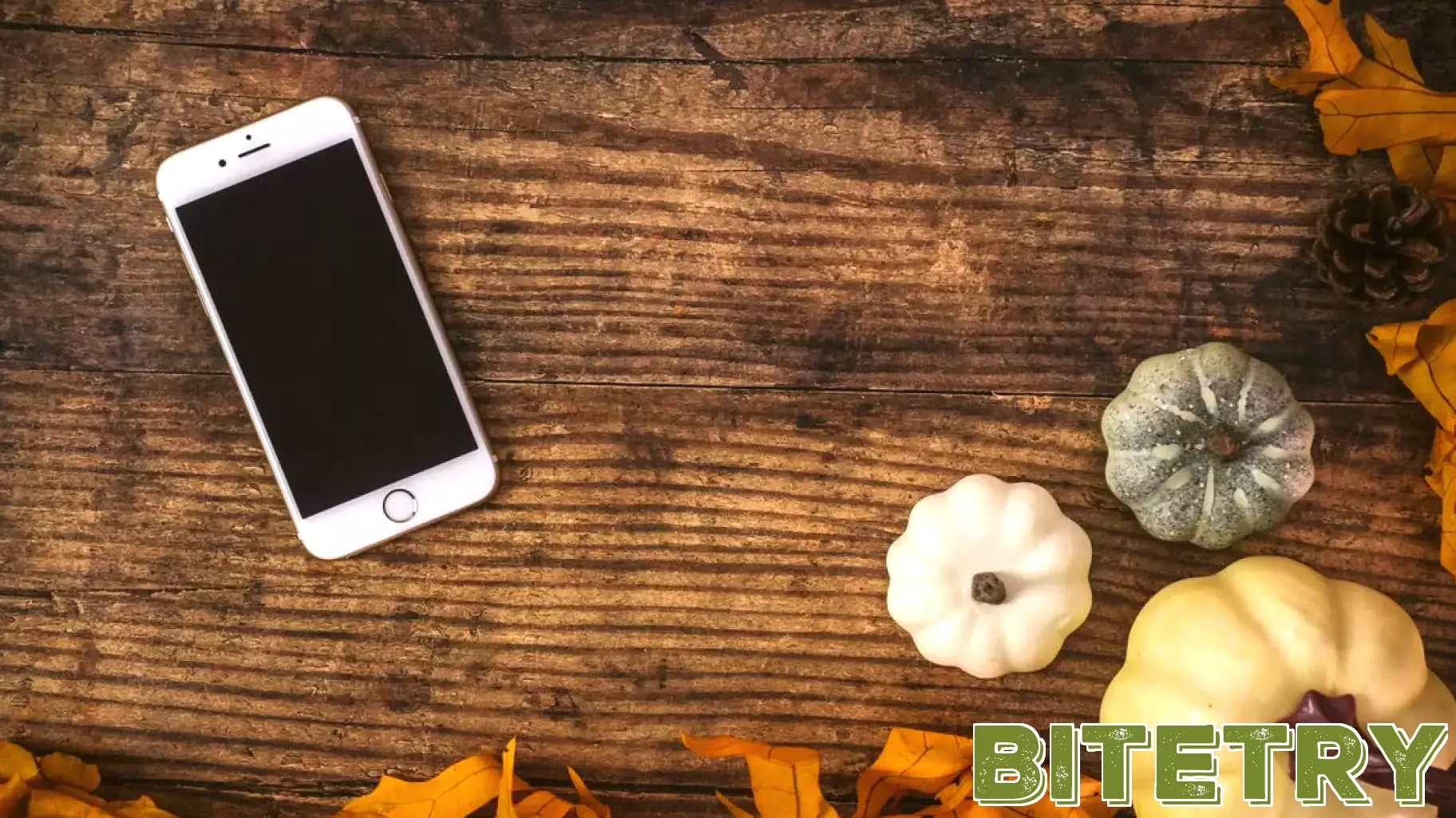 Indigenous Innovation, Sovereignty, and the Future of Data Governance