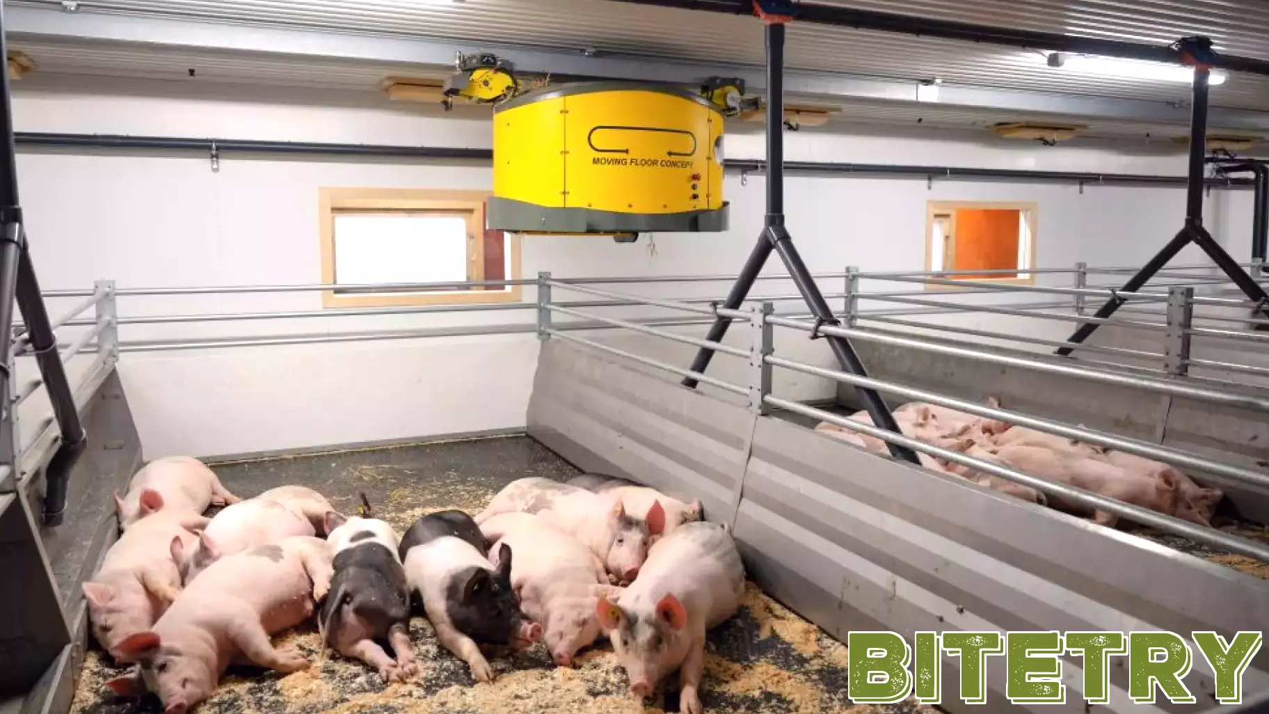 Innovative Rotating Floor Technology Aims to Lower Emissions in Pig Farming