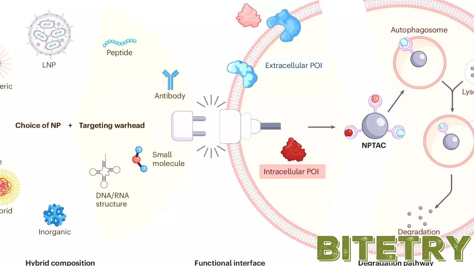 New nanoparticle technology offers hope for hard-to-treat diseases