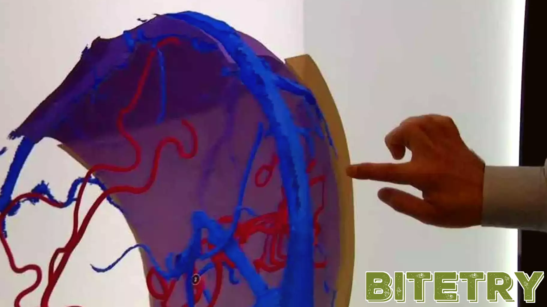 Redefining Distance Learning with Innovative Hologram Technology