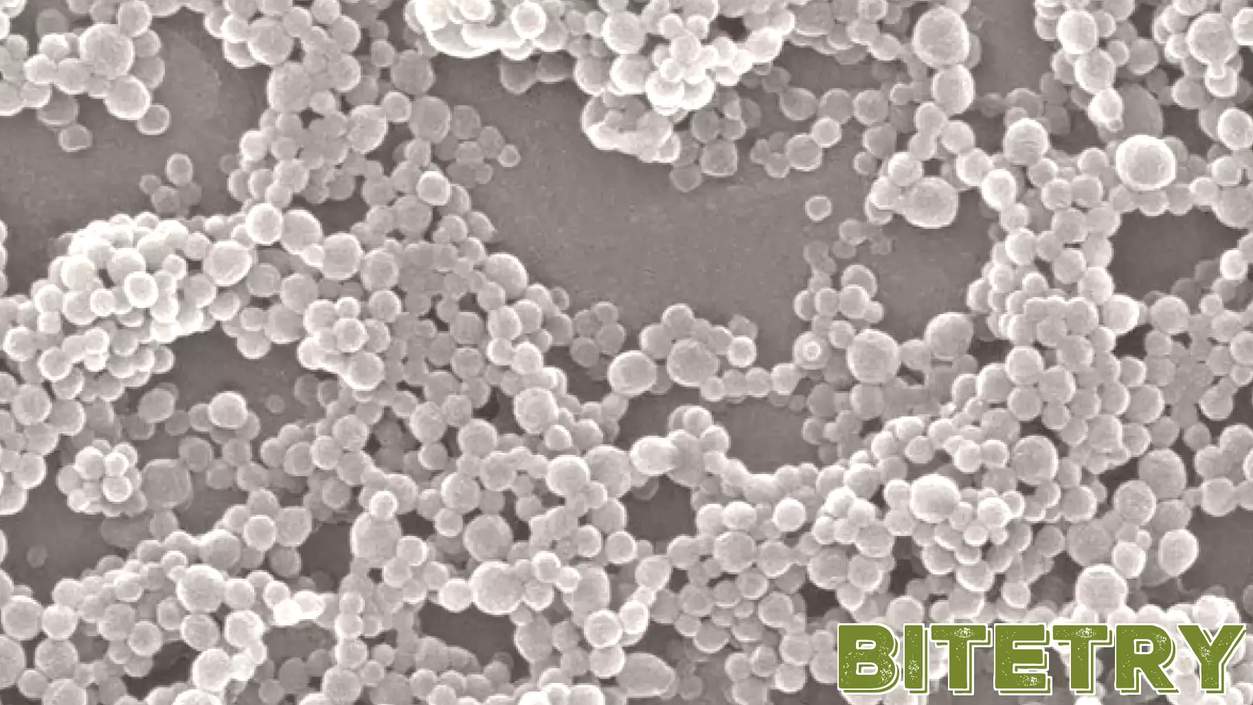 Revolutionary Light-Based Technology Organizes Cellular Messengers with Unmatched Accuracy