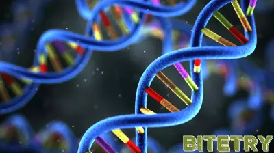 Advances in DNA Technology May Uncover Identity of Long-Unknown Remains in Knoxville