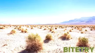 American Battery Technology: Another Good Quarter Under The Belt