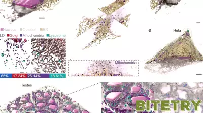 Breakthrough Imaging Technology Unveils the Secrets of Living Cells