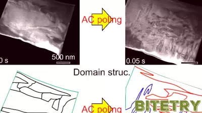 Breakthrough in Ultrasound Imaging: Real-Time Visualization of Nanoscale Domain Response