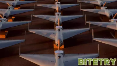 ‘Designed to Wreak Havoc’: The Cheap Drones Shaping the War With Iran