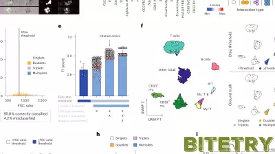 Innovative Technology Decodes Immune Cell Communication for Tailored Cancer Treatments