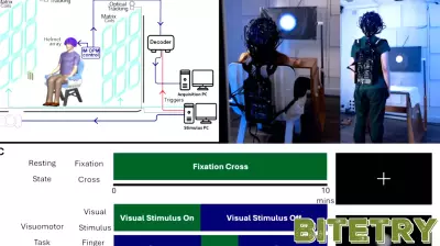 Innovative Wearable Technology Enhances Understanding of Multiple Sclerosis