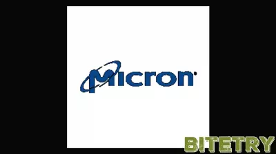 Micron Technology Stock (MU) Opinions on CFO Supply-Demand Outlook