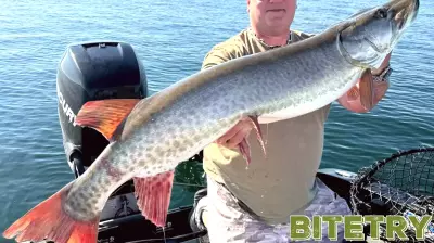 Minnesota Anglers Voice Concerns Over Forward-Facing Sonar Technology