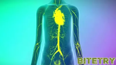 New imaging technology spots hidden cancer