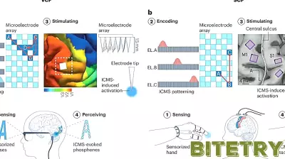 Restoring lost senses: One technology for both artificial vision and touch
