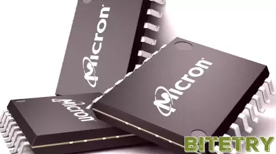 The Unjustified Decline of Micron Technology Stock