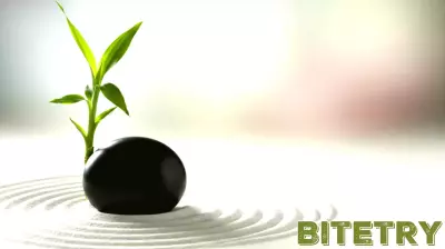 Wearable Tech Transforms the Physician's Role from Diagnostician to Data Interpreter